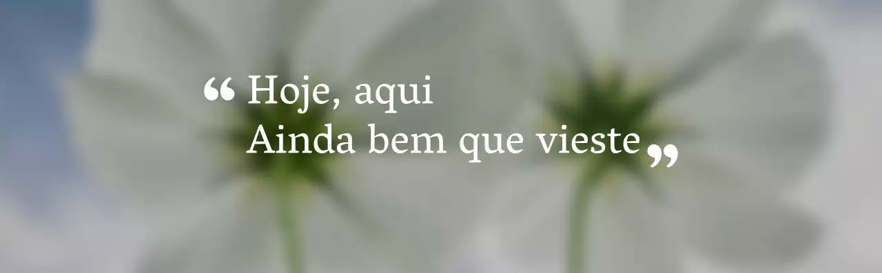 Artigos de papelaria para interiores sentimentais com um estilo simples