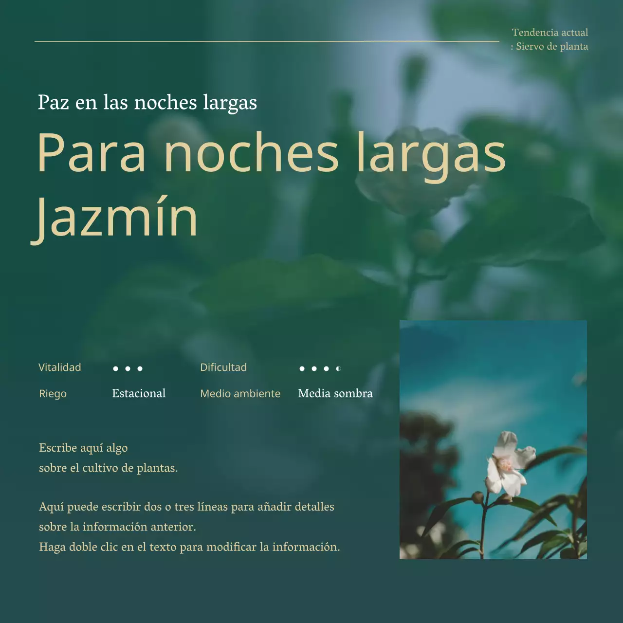 Explicación de las plantas verdes y doradas para mascotas