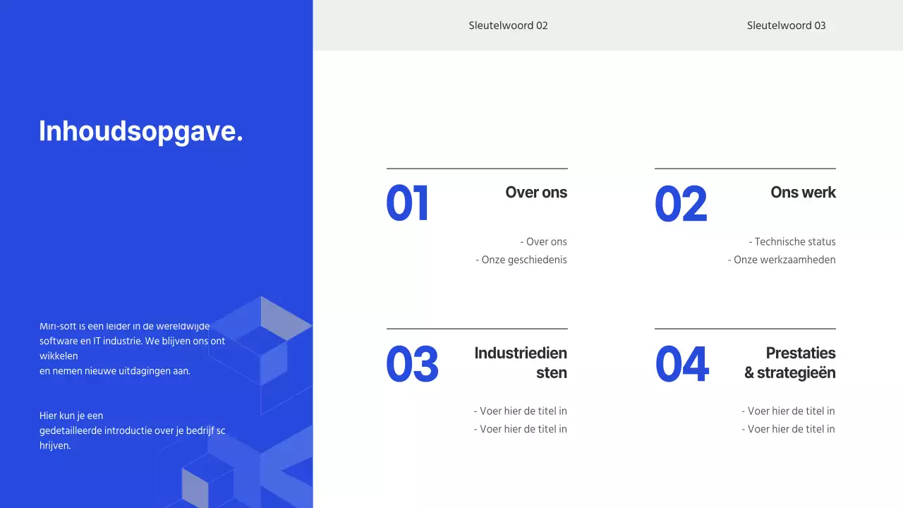 Bedrijfsprofiel IT-bedrijf in blauw (presentatie)