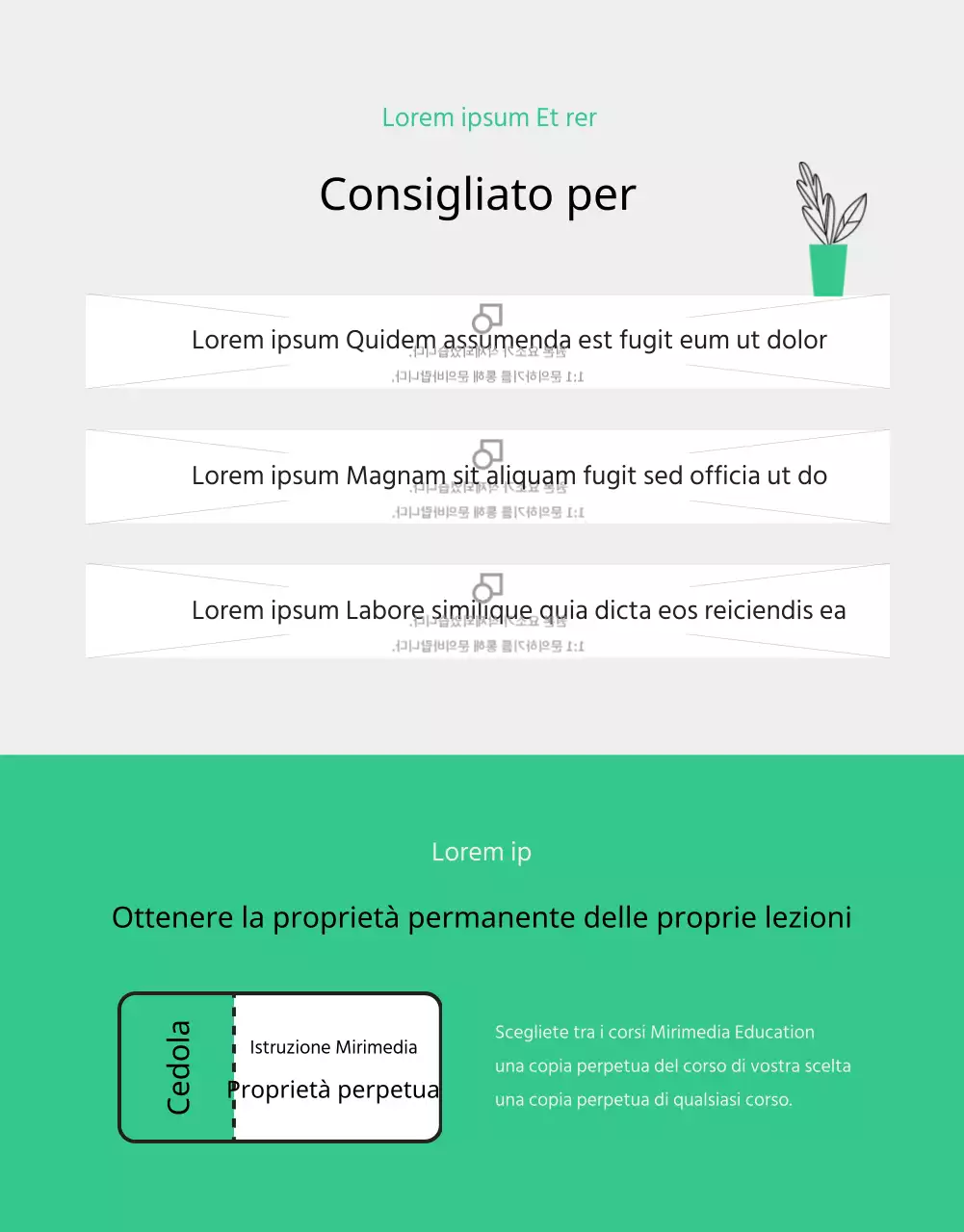 Pagina di dettaglio del programma di alfabetizzazione digitale illustrato Green clean