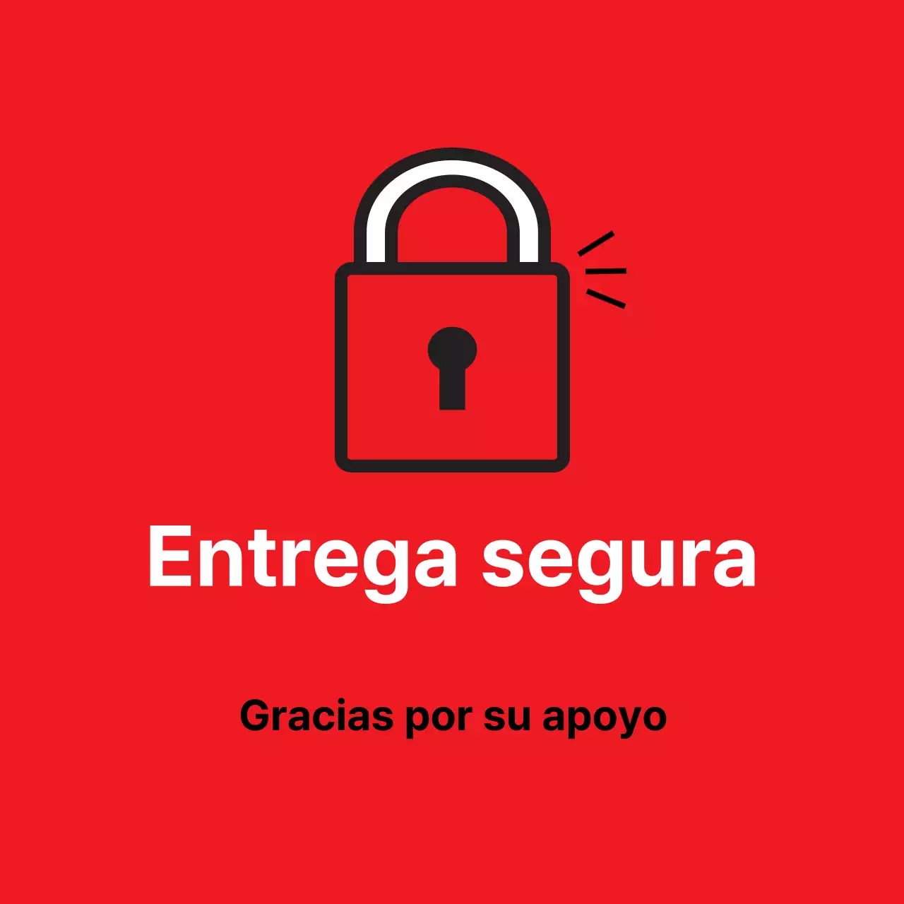 45194_Entrega segura