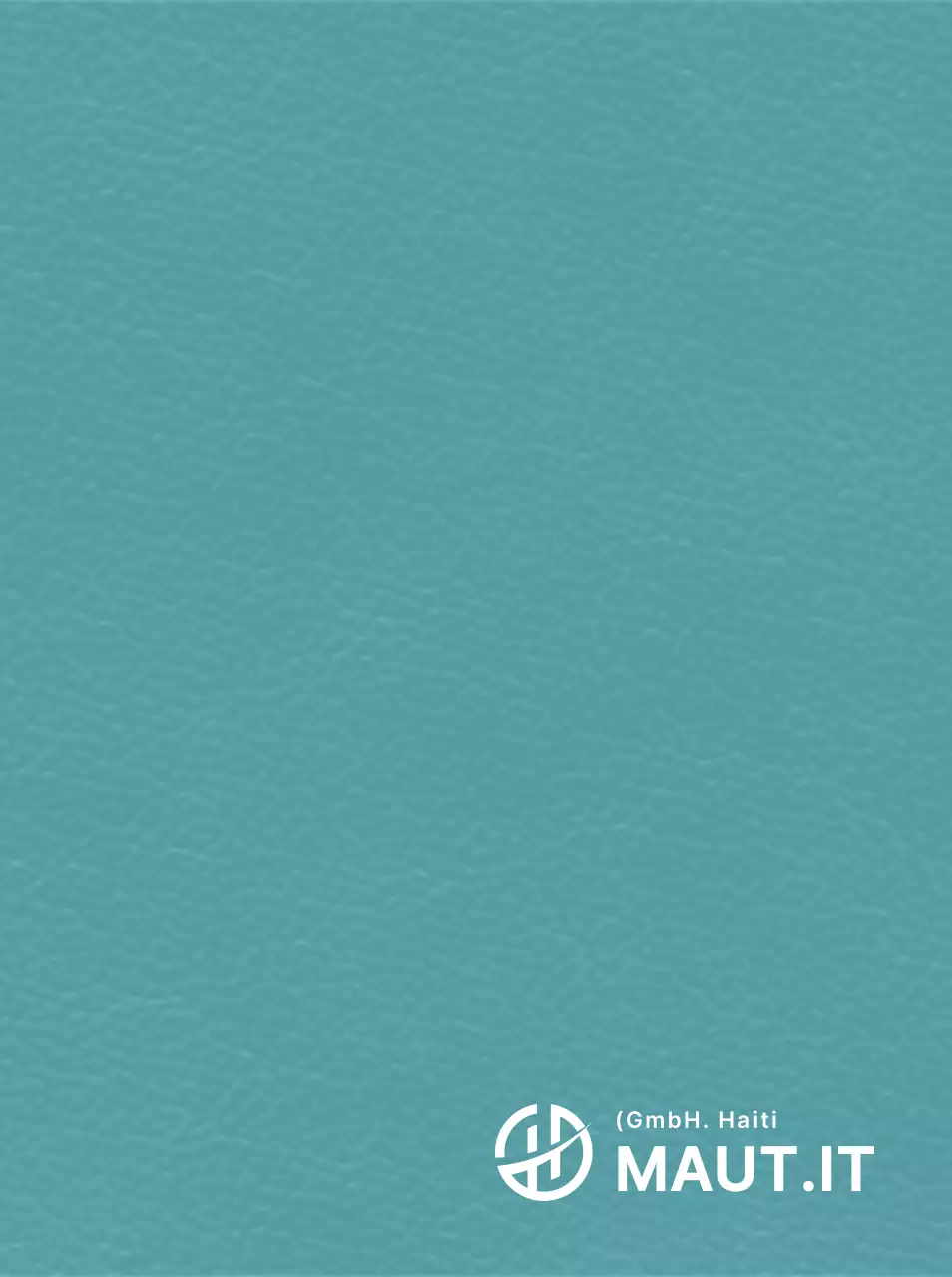 Einfache Haitian geformt Logo symbolisches Konzept Corporate Werbeartikel