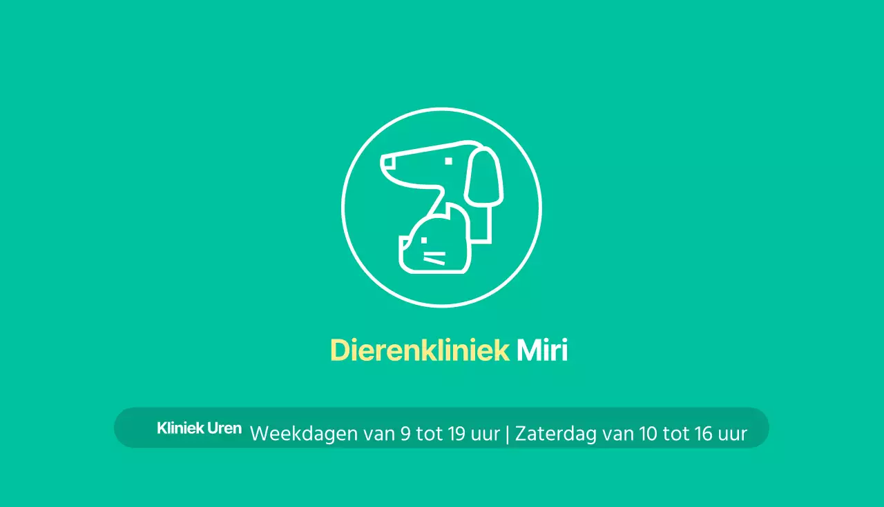 45096_Veterinair ziekenhuis