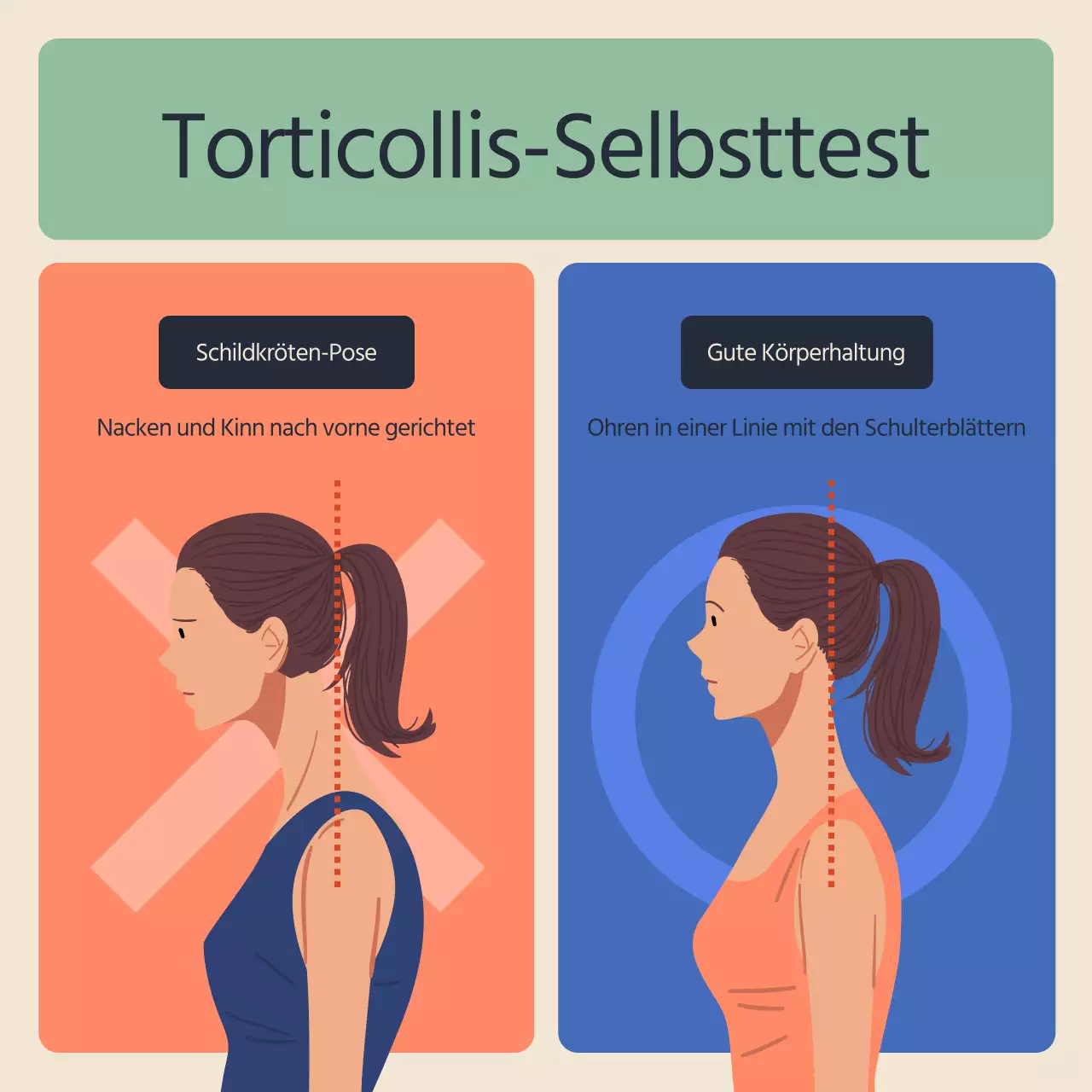 Schildkrötenhals Pilates Rehabilitation Informationen in Blau und Orange