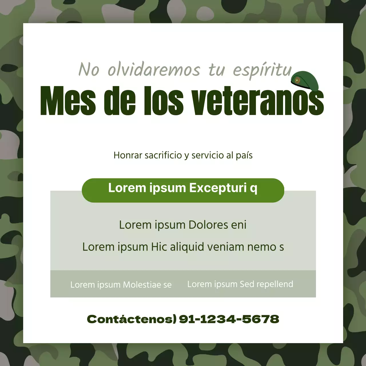 Mes de los veteranos