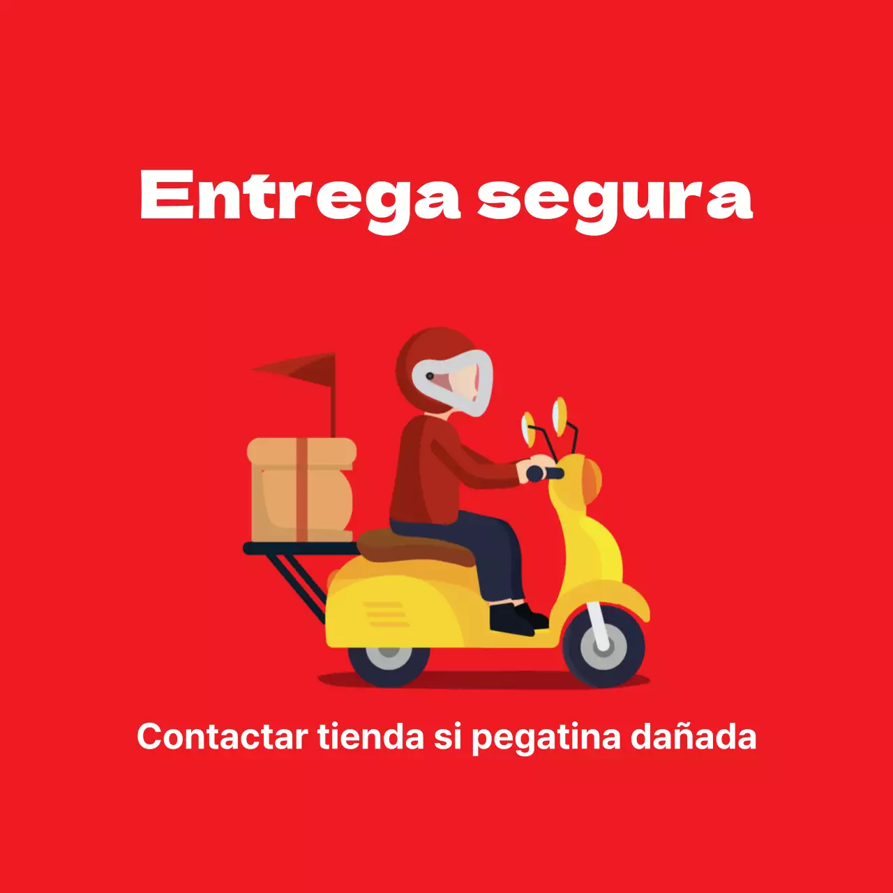 45195_Entrega segura