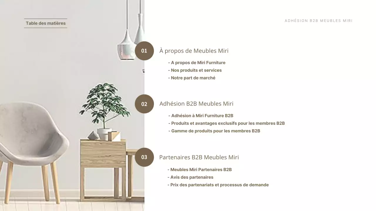 Présentation de la proposition de service d'affiliation du mobilier d'entreprise de Braunton