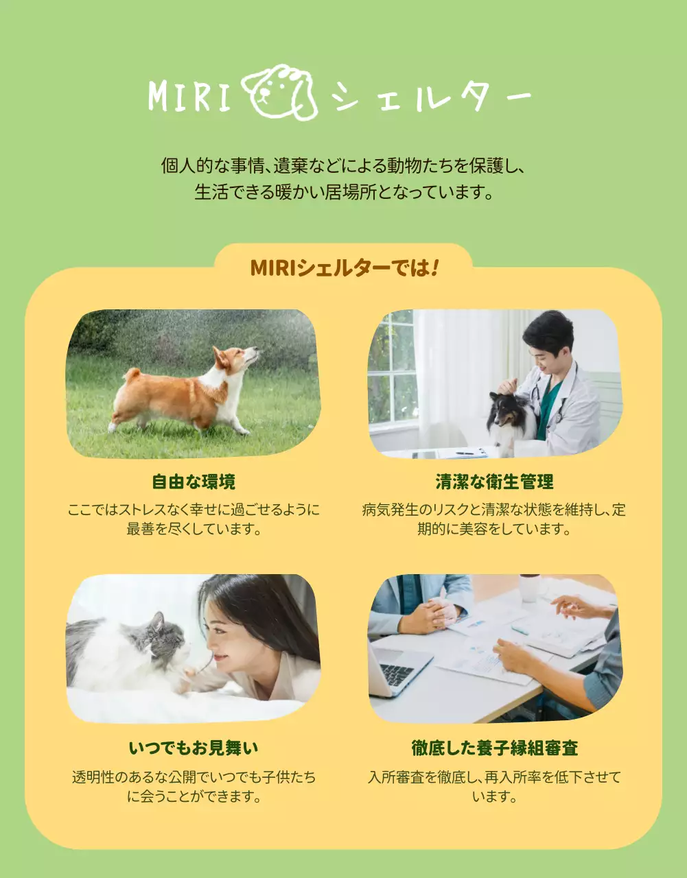 緑 かわいい ペット ポスター 詳細ページ