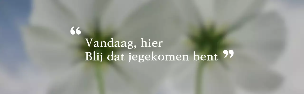 Sentimenteel briefpapier voor binnen met een eenvoudige stijl