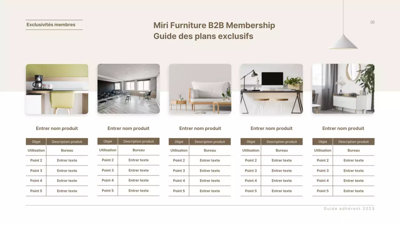 Présentation de la proposition de service d'affiliation du mobilier d'entreprise de Braunton