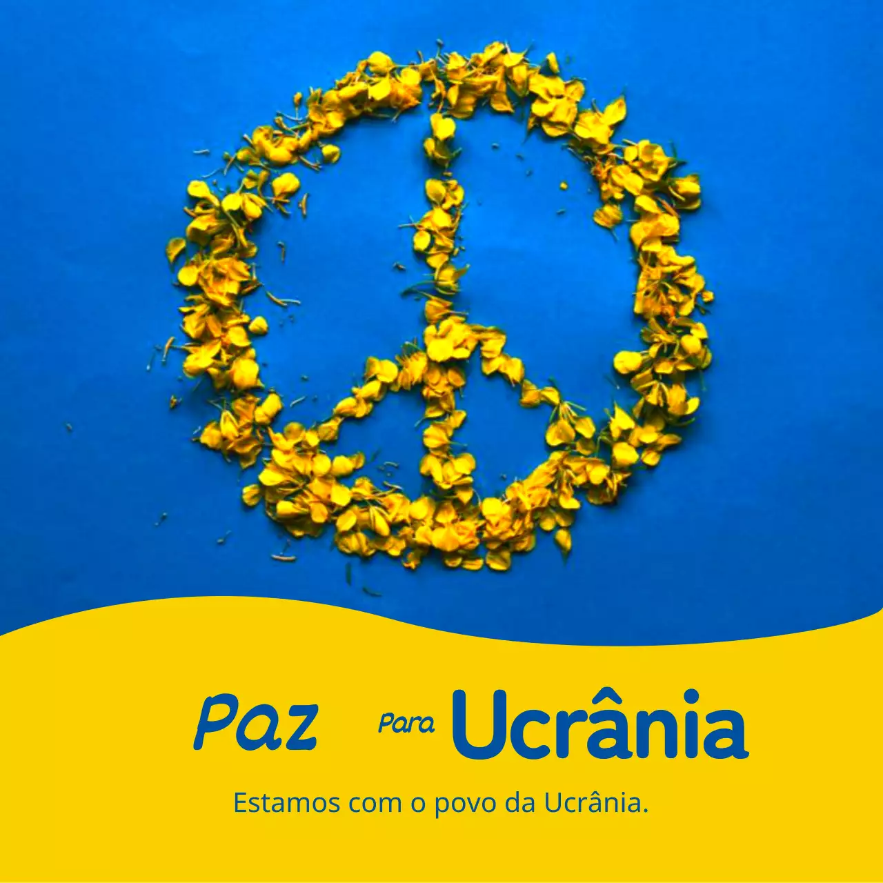 Flores amarelas e azuisImagem de guerraMensagem anti-guerra