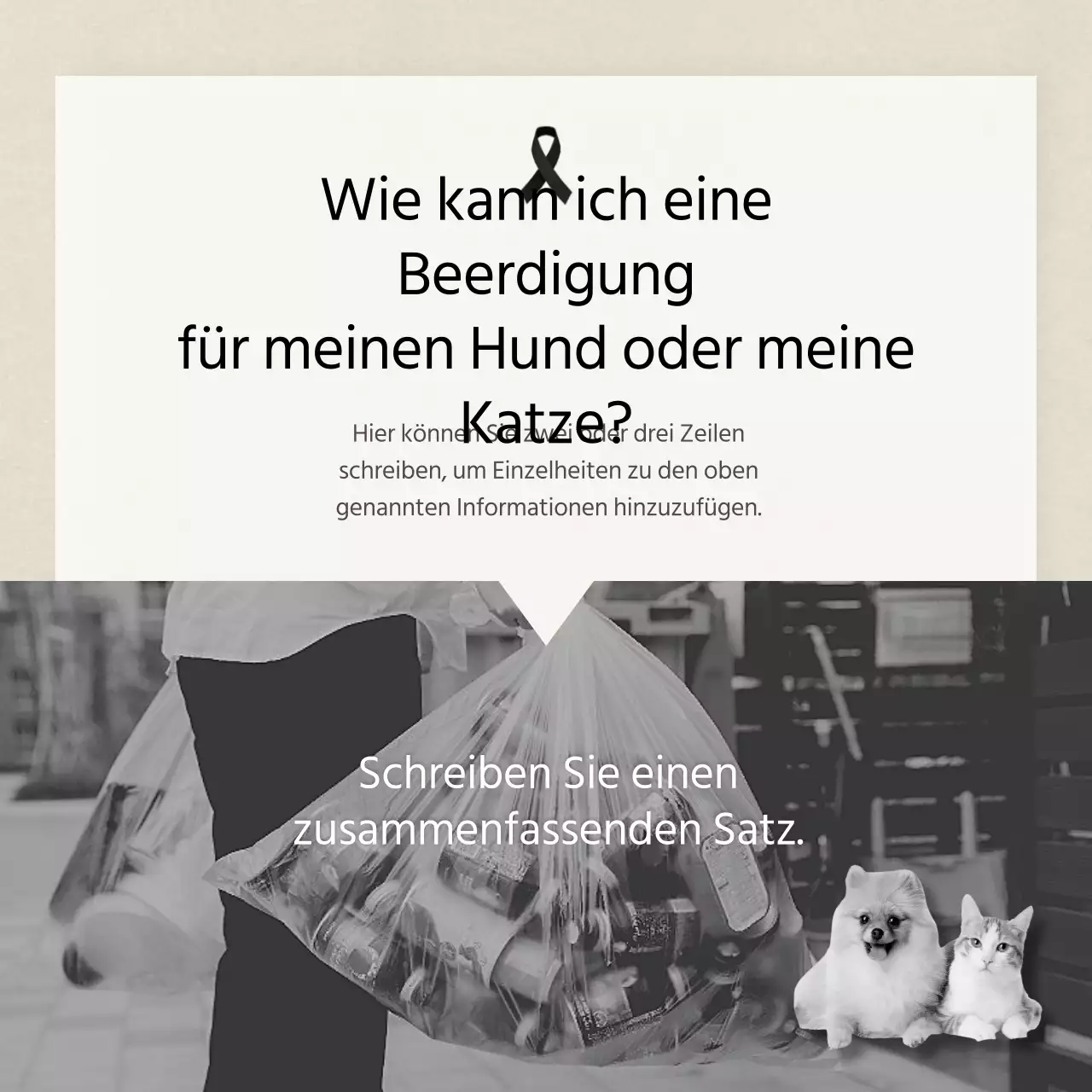 Sauberer Text in ElfenbeinKarten für HaustiereNews