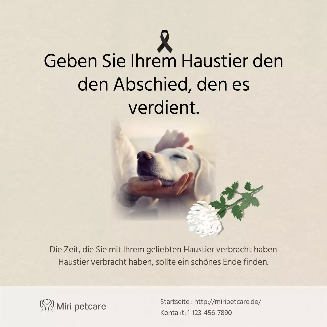 Sauberer Text in ElfenbeinKarten für HaustiereNews