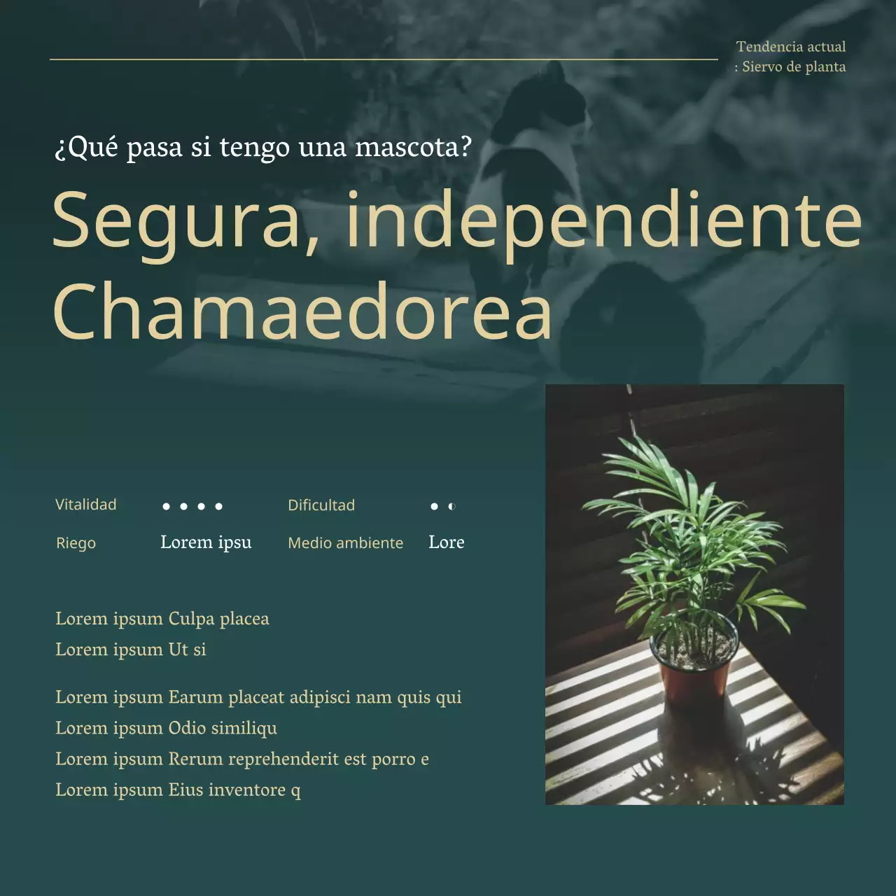 Explicación de las plantas verdes y doradas para mascotas