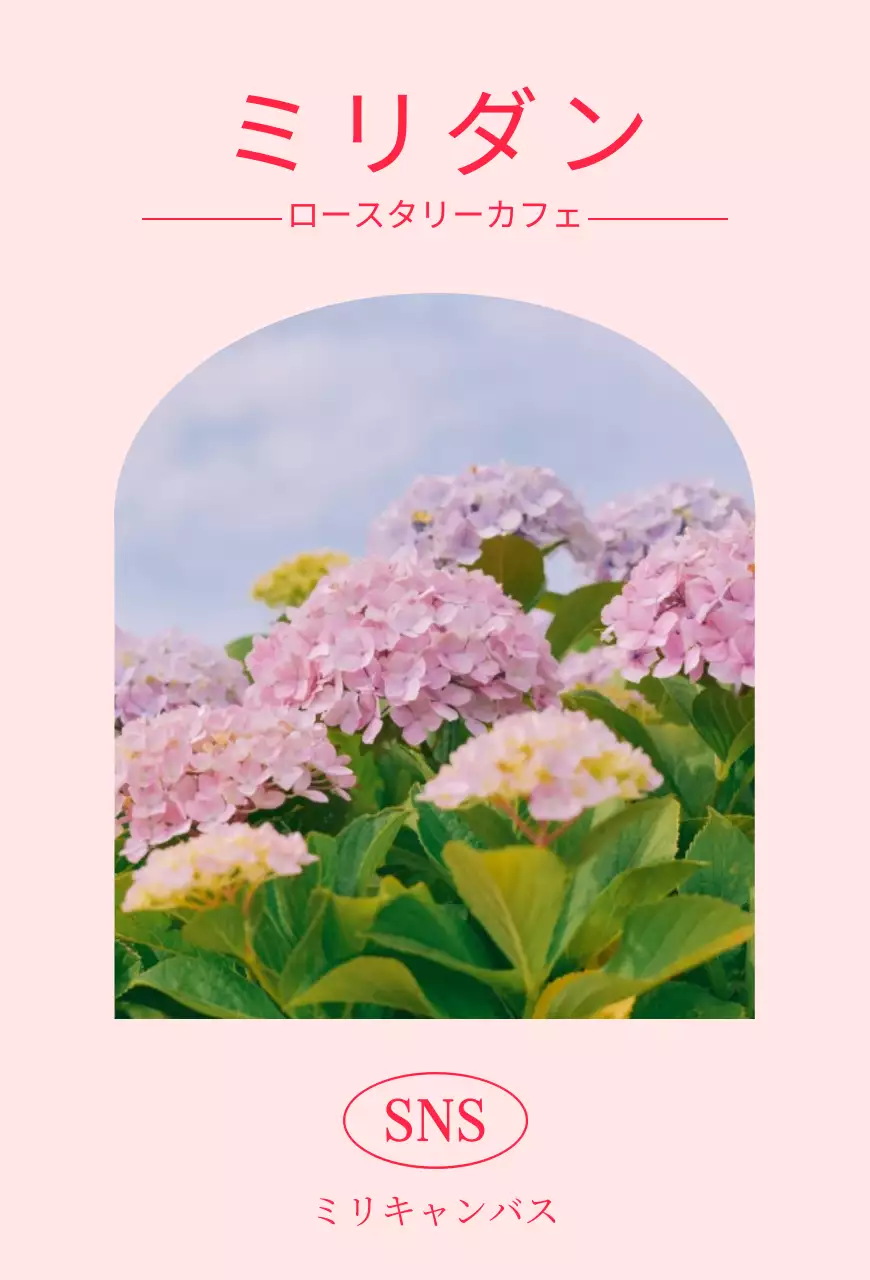 ピンク色の感性的な写真レイアウトのカフェ