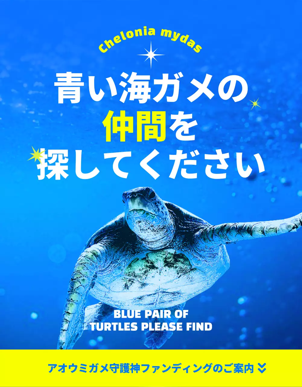 青 モダン 環境保護 ポスター 詳細ページ