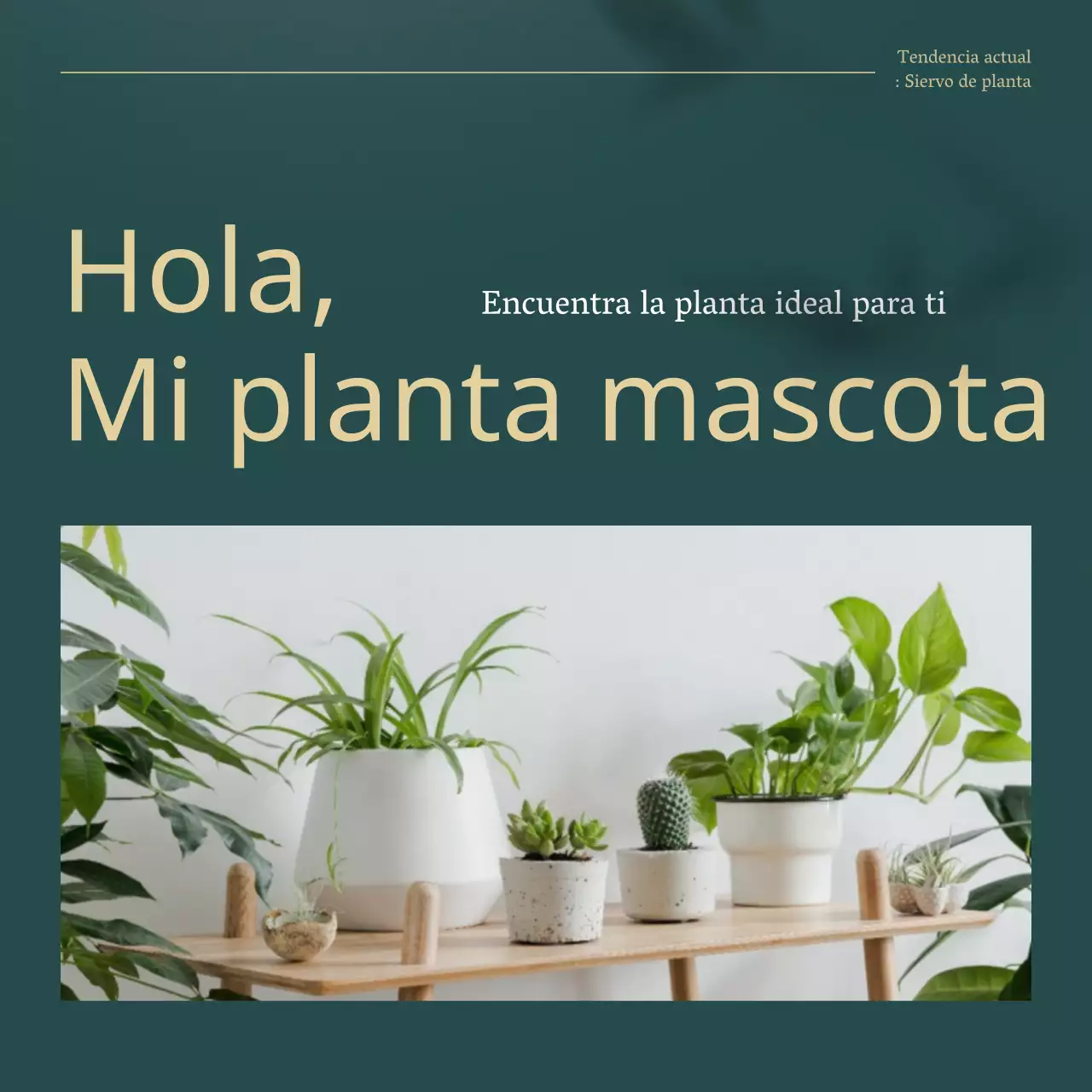 Explicación de las plantas verdes y doradas para mascotas