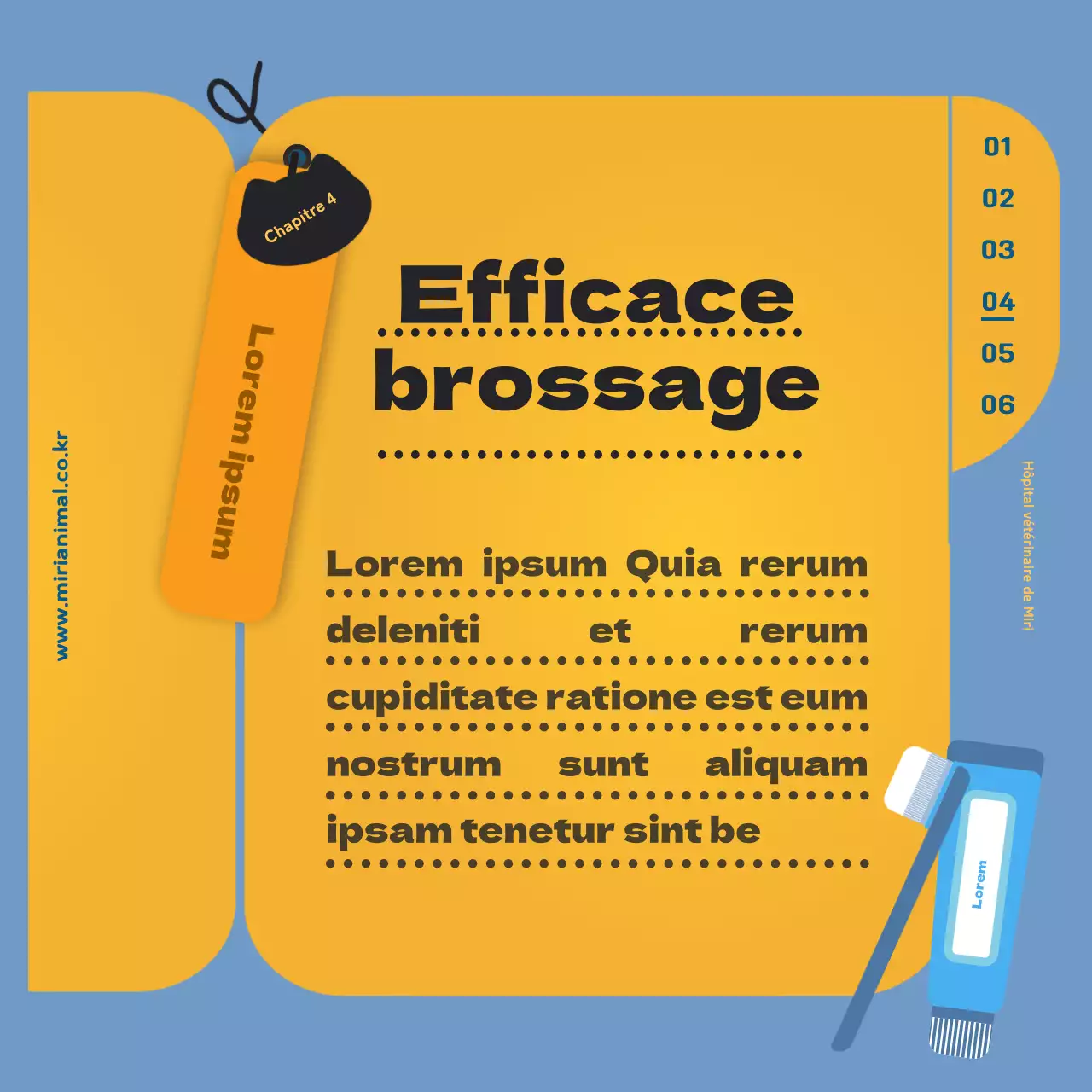 Les informations sur les soins de santé de votre chat, mises en évidence par la feuille jaune du carnet de santé.