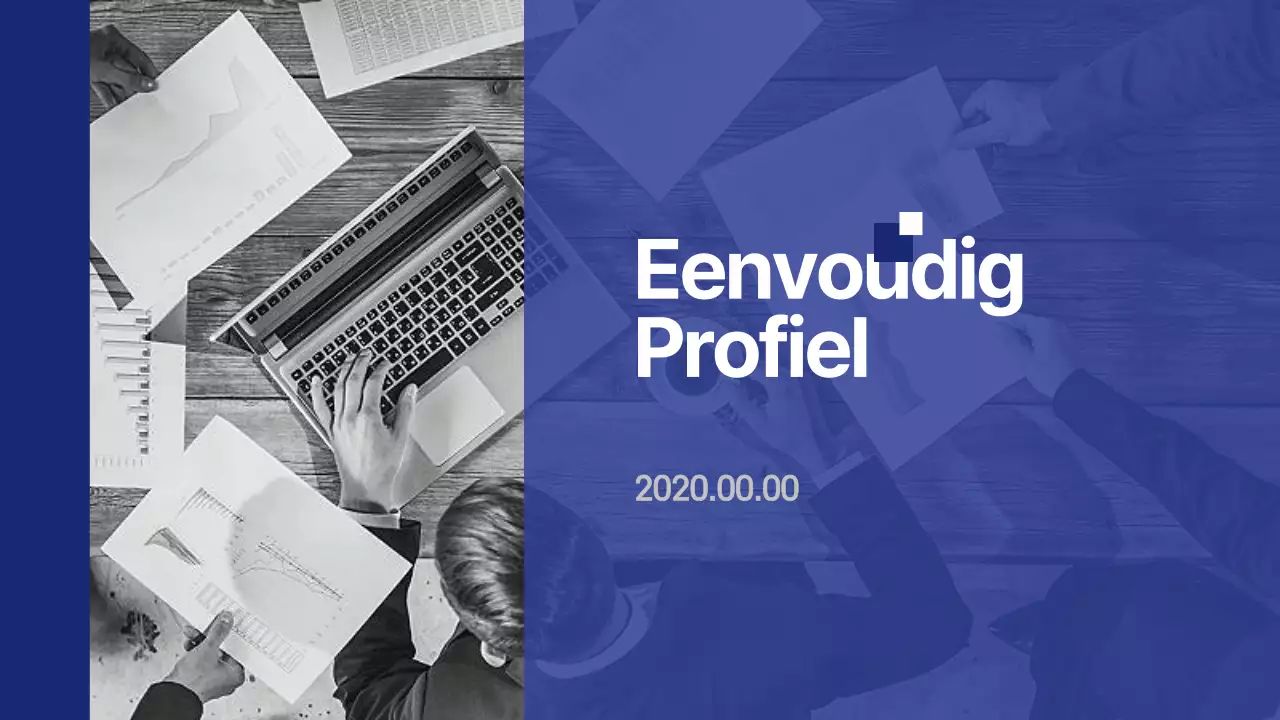 Eenvoudig bedrijfsprofiel