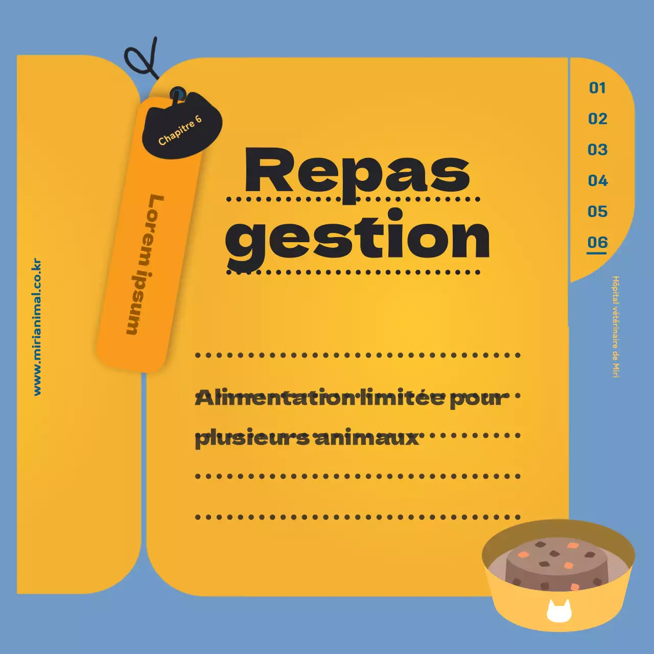 Les informations sur les soins de santé de votre chat, mises en évidence par la feuille jaune du carnet de santé.