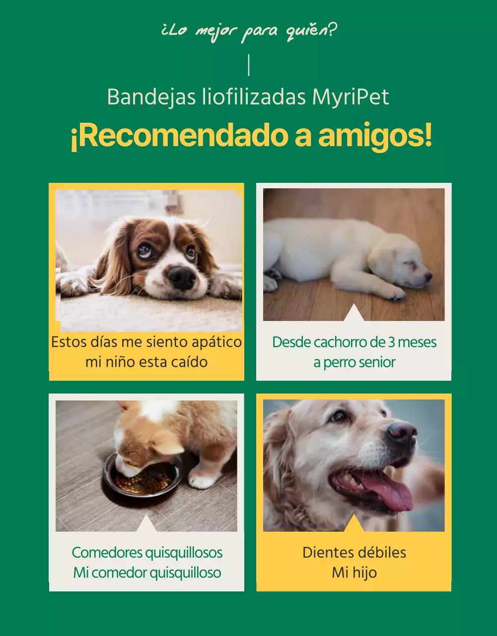 Simpáticas golosinas amarillas y verdes para mascotas