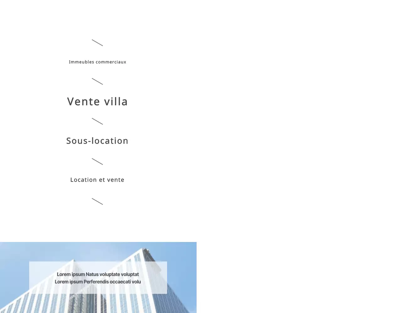 Un biz simple avec du texte et des images en gris foncé pour promouvoir l'immobilier.