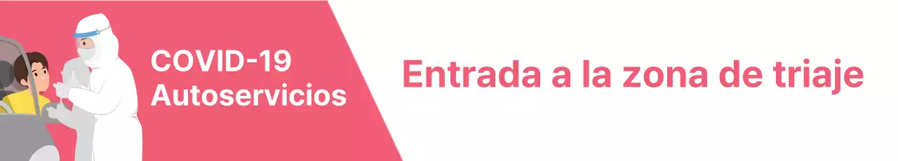 Ilustración rosa Guía de pruebas Corona