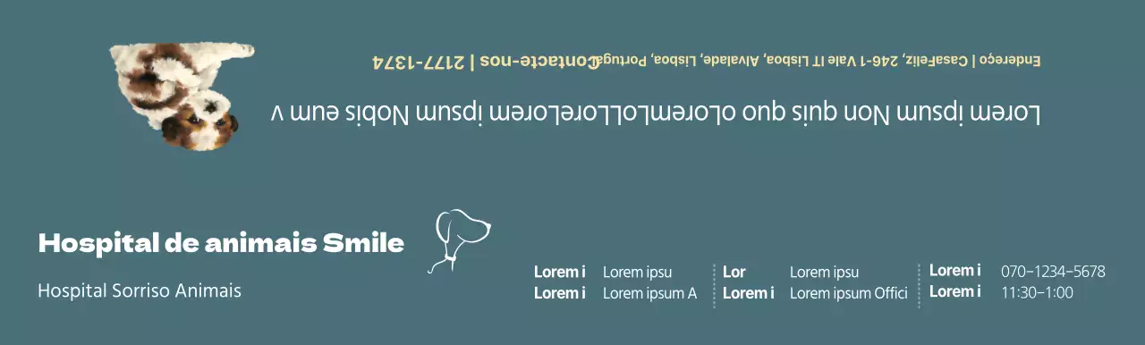 Conceito de horário de clínica veterinária turquesa