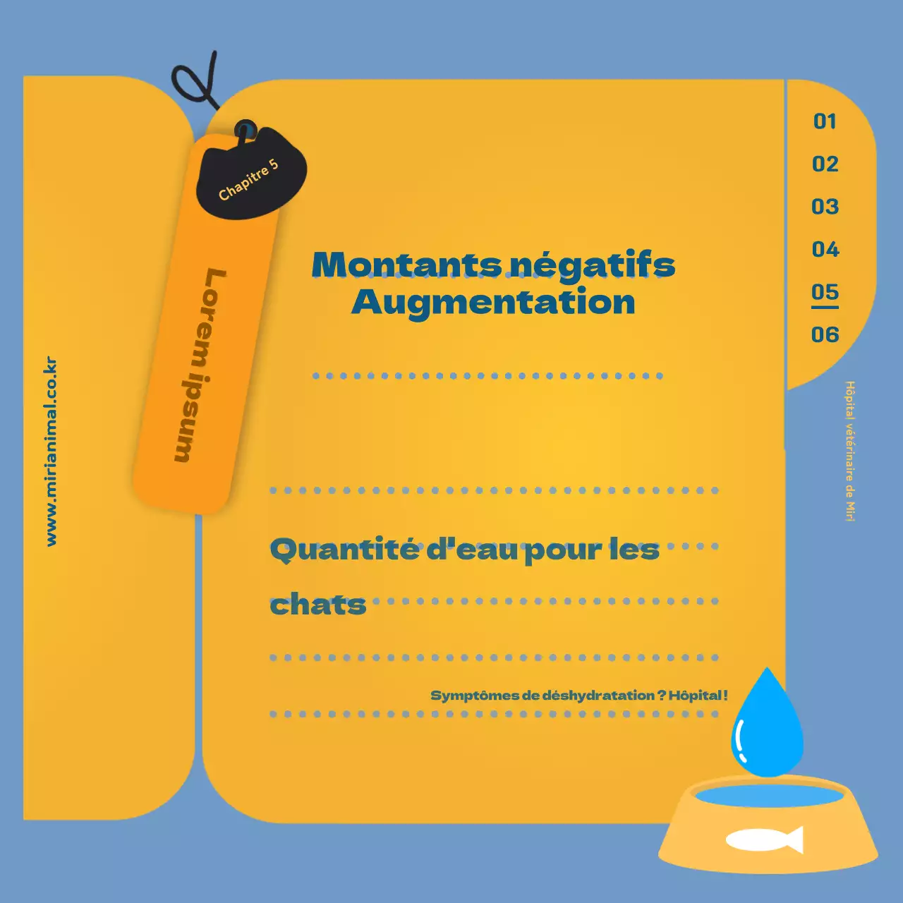 Les informations sur les soins de santé de votre chat, mises en évidence par la feuille jaune du carnet de santé.
