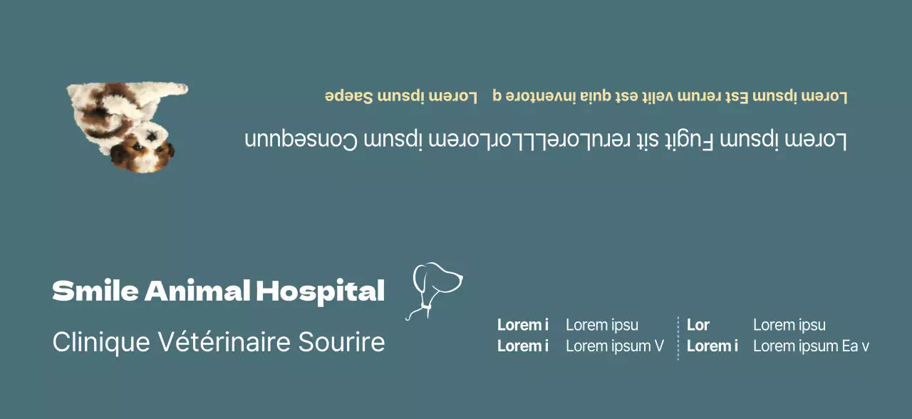 Concept d'horaire de clinique vétérinaire turquoise