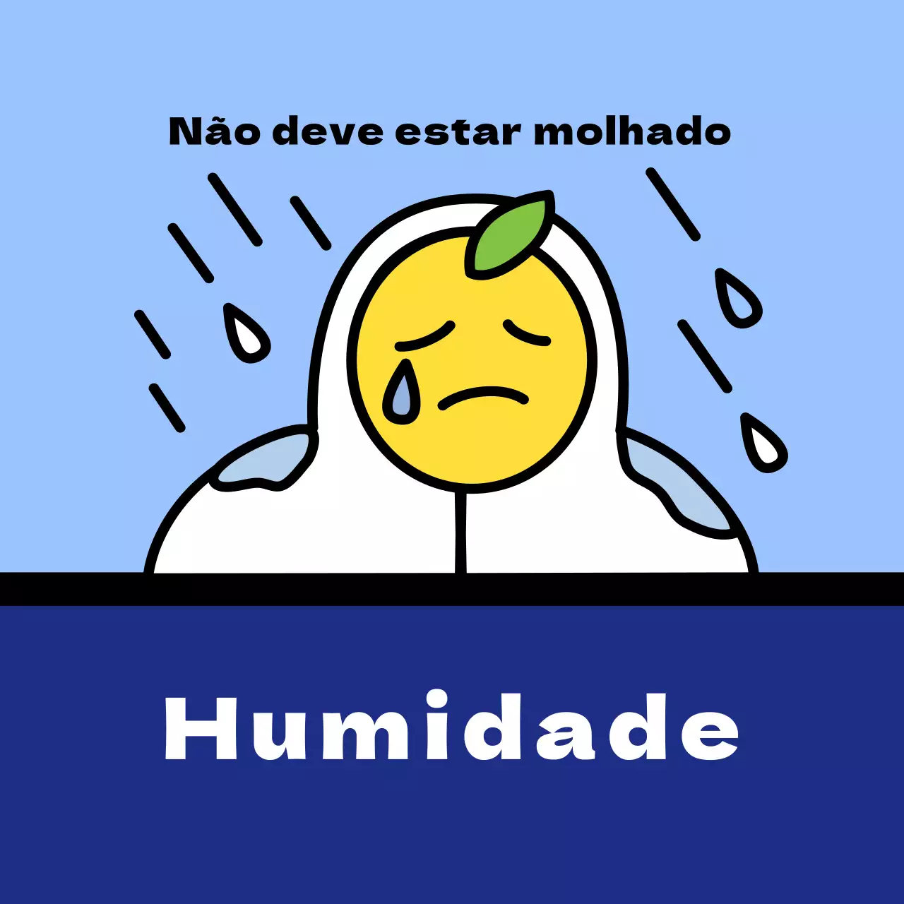 Expedição