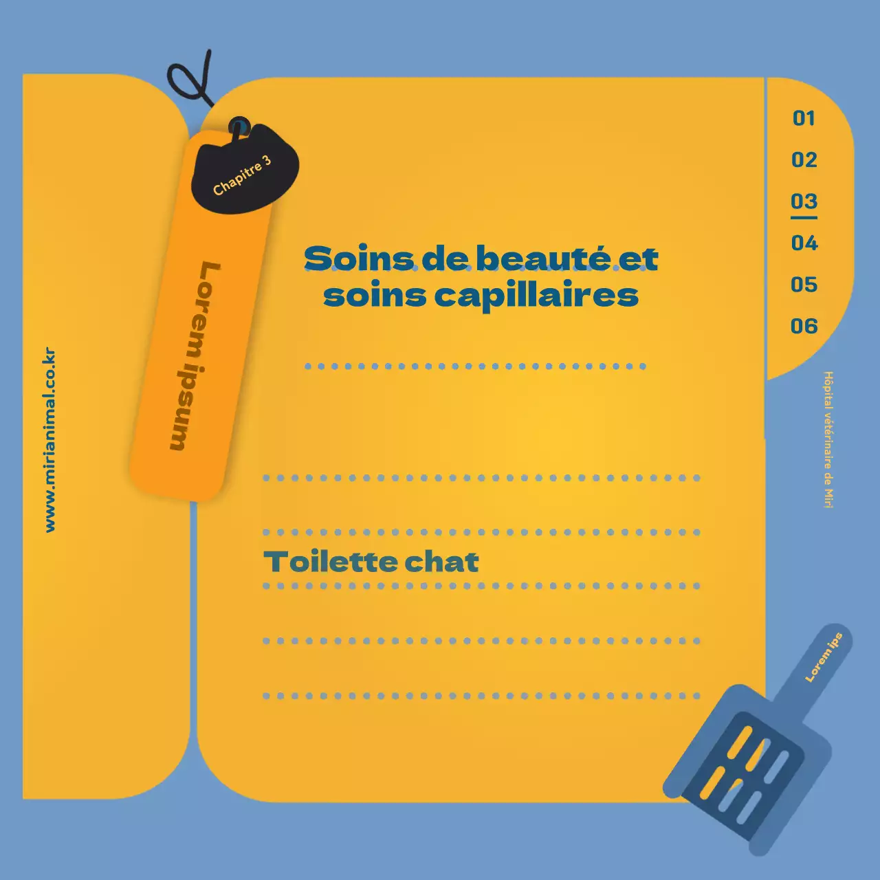Les informations sur les soins de santé de votre chat, mises en évidence par la feuille jaune du carnet de santé.
