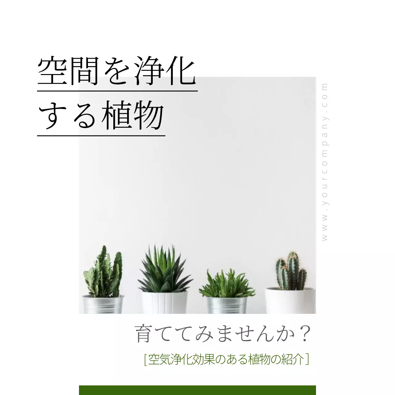 白 シンプル 植物 パンフレット Instagram カルーセル