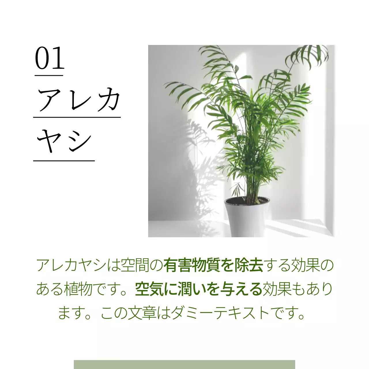 白 シンプル 植物 パンフレット Instagram カルーセル