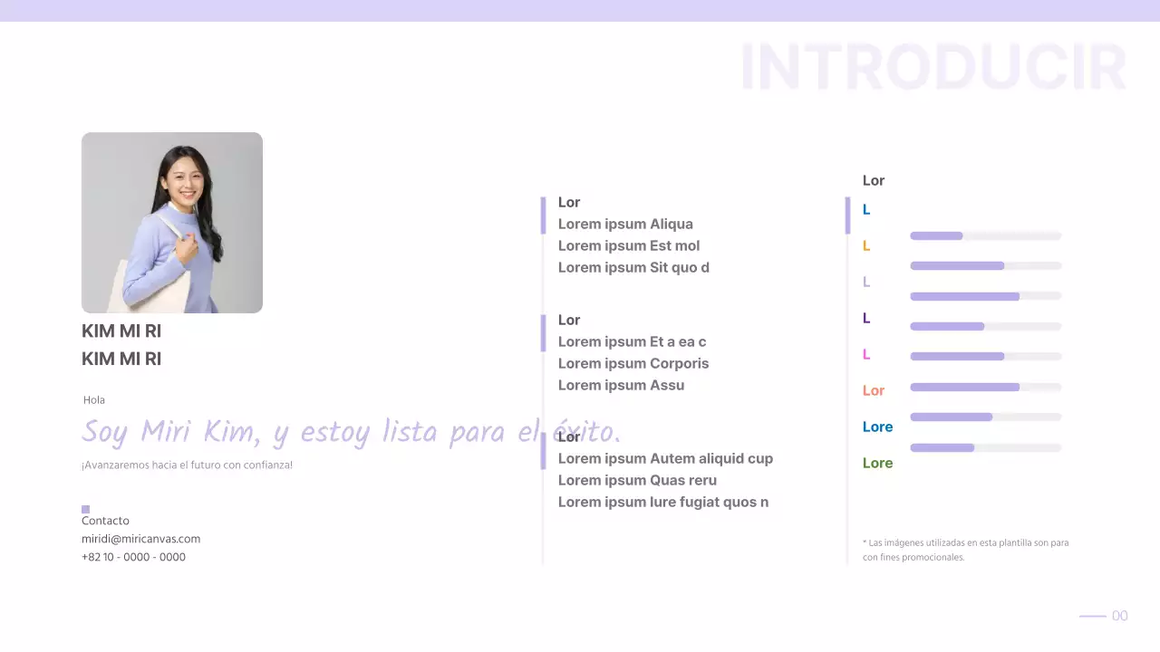 Cartera sencilla con degradado malva