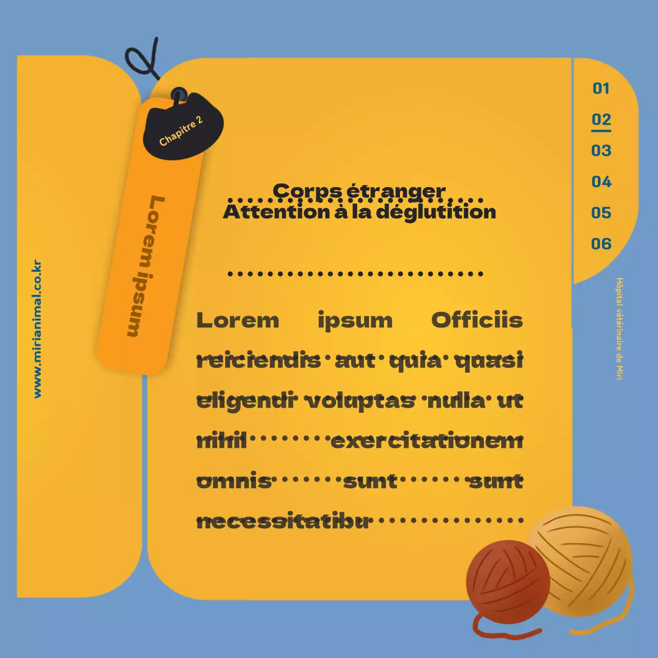 Les informations sur les soins de santé de votre chat, mises en évidence par la feuille jaune du carnet de santé.