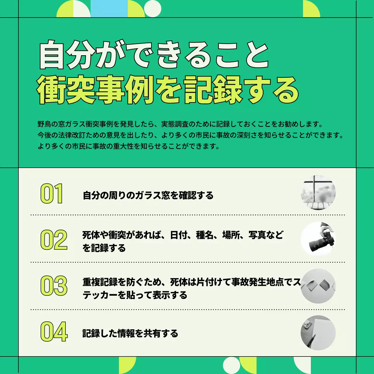 緑 ポップ 野生鳥獣 ポスター Instagram カルーセル