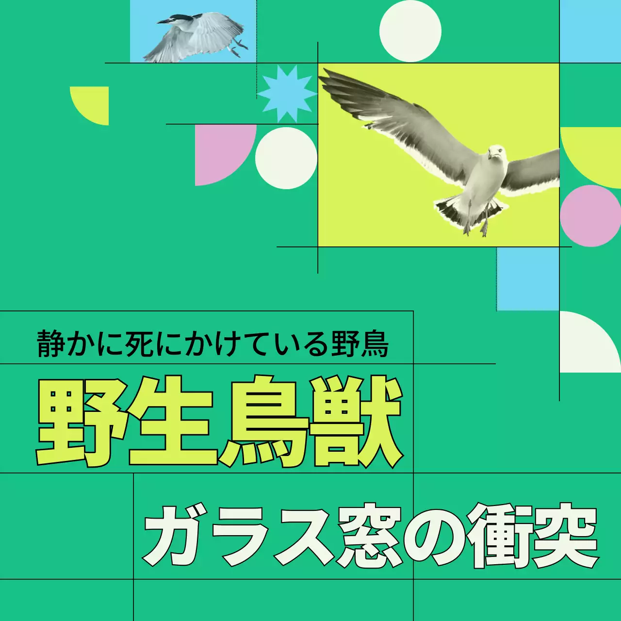 緑 ポップ 野生鳥獣 ポスター Instagram カルーセル