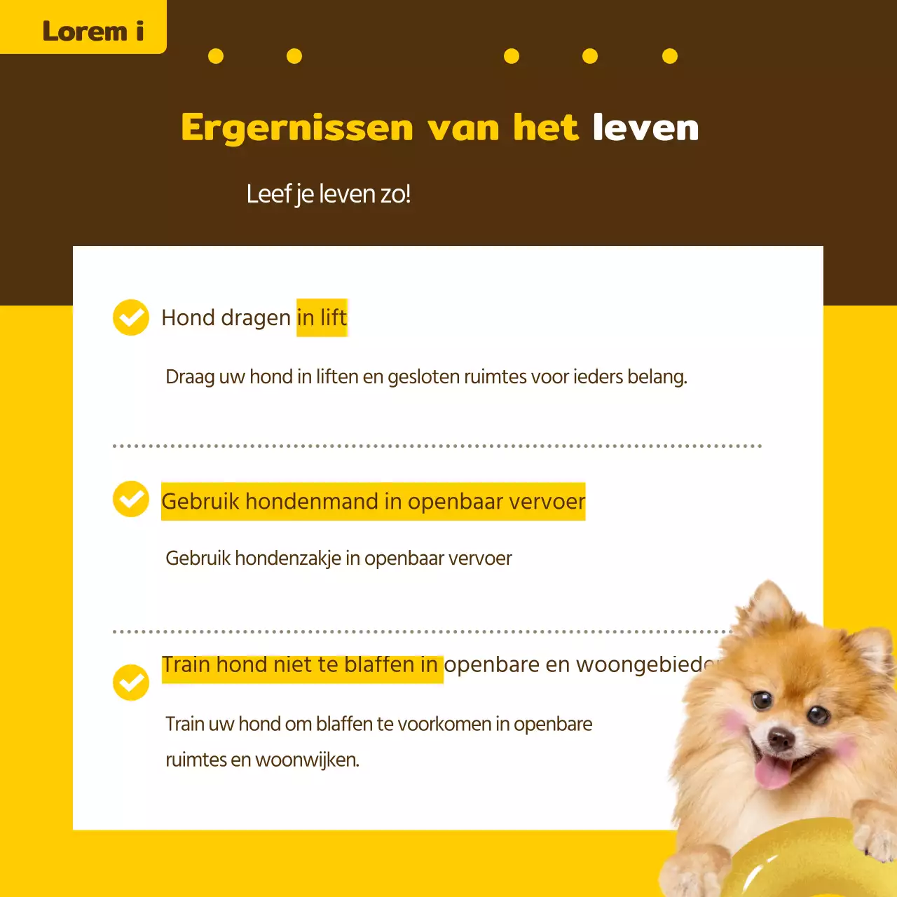 Informatiesticket voor huisdieren in geel en brons