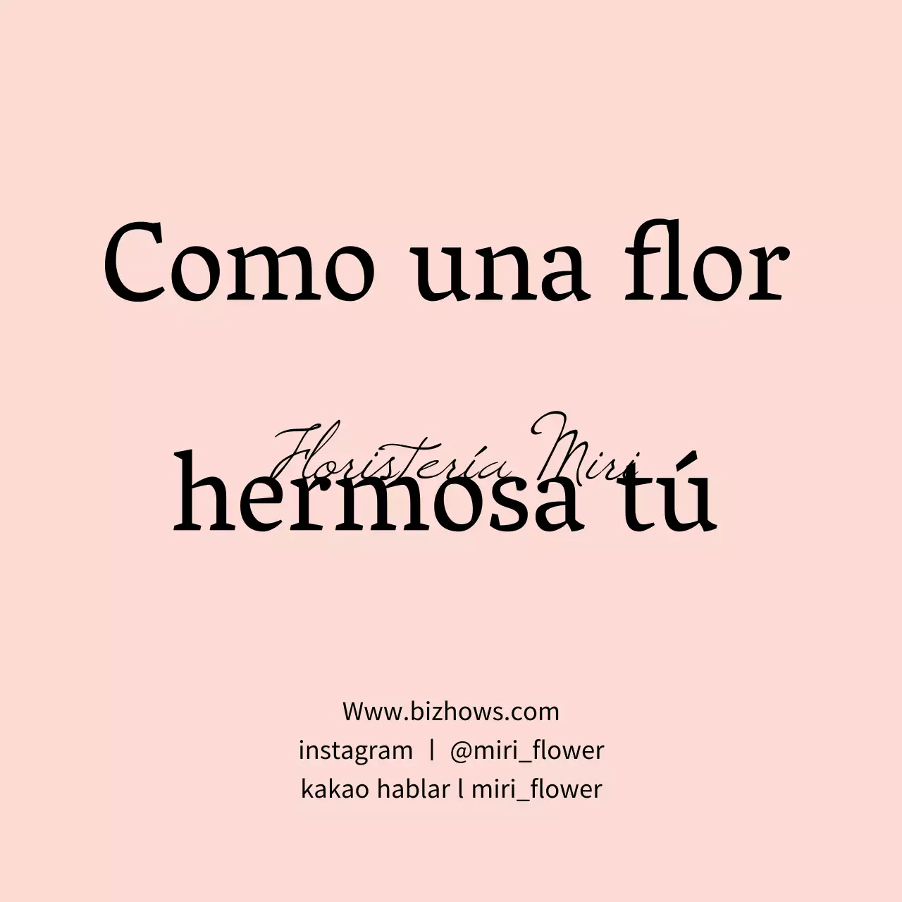 Adhesivos para etiquetas de productos