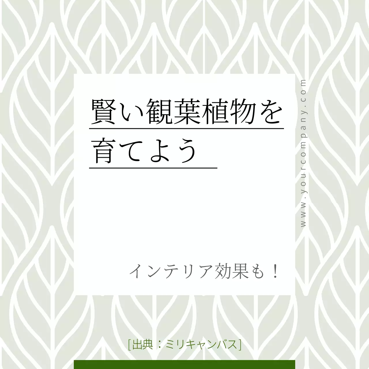 白 シンプル 植物 パンフレット Instagram カルーセル