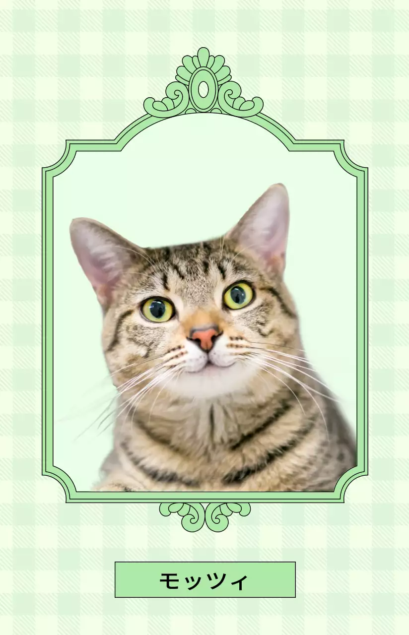 可愛らしい色のペットの写真を入れた長方形の高級感のあるアンティーク調フレーム