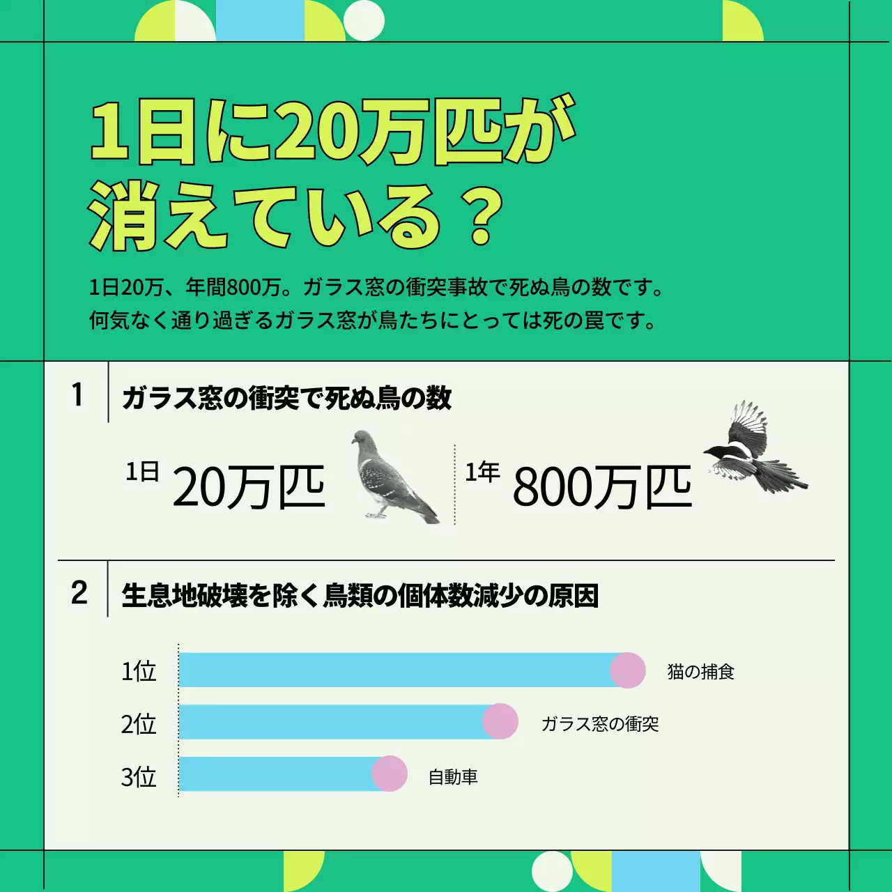 緑 ポップ 野生鳥獣 ポスター Instagram カルーセル