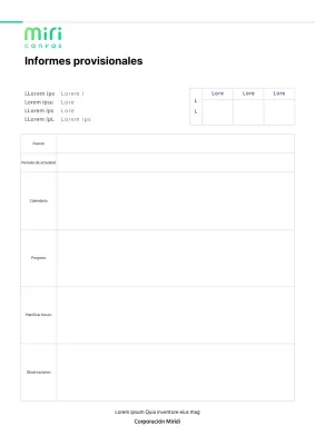Formato básico de un informe provisional simple