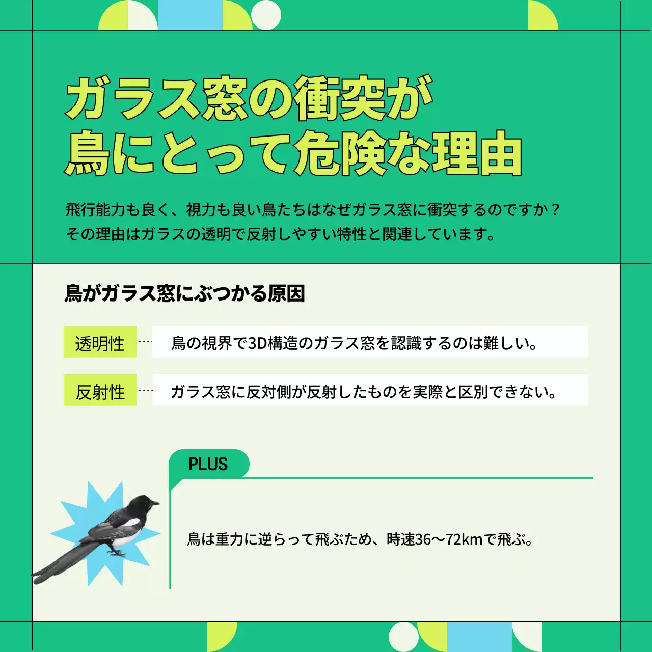 緑 ポップ 野生鳥獣 ポスター Instagram カルーセル