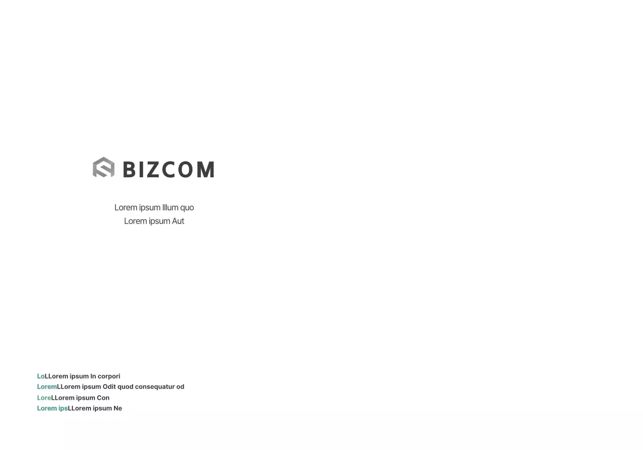 Promotion simple d'une entreprise bizcom avec texte et illustrations en noir et gris