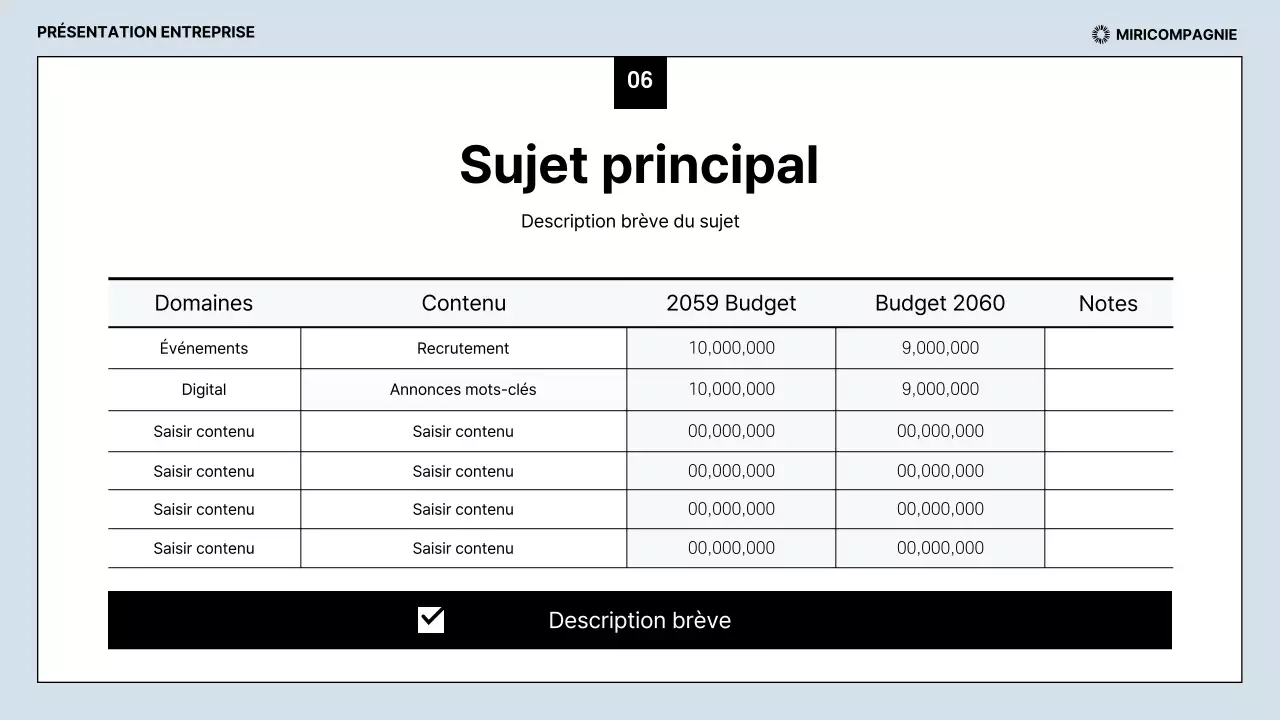 Rapports d'activité épurés en bleu clair et noir