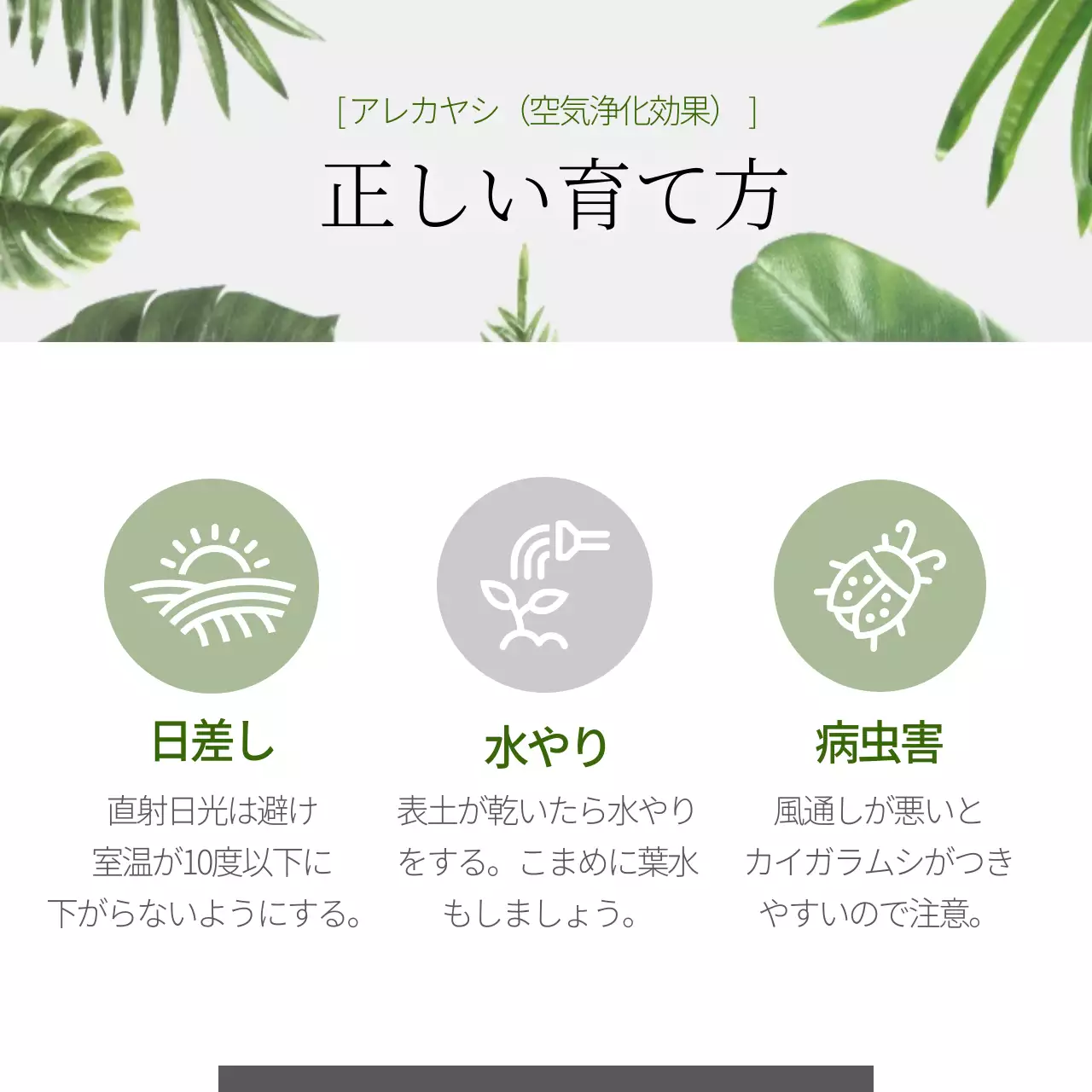 白 シンプル 植物 パンフレット Instagram カルーセル