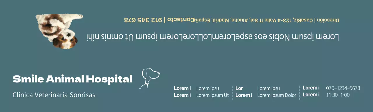 Concepto de horario de clínica veterinaria turquesa