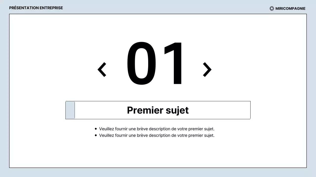 Rapports d'activité épurés en bleu clair et noir